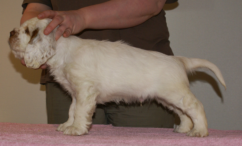 Spice_Twice_Snufkin_7weeks_r