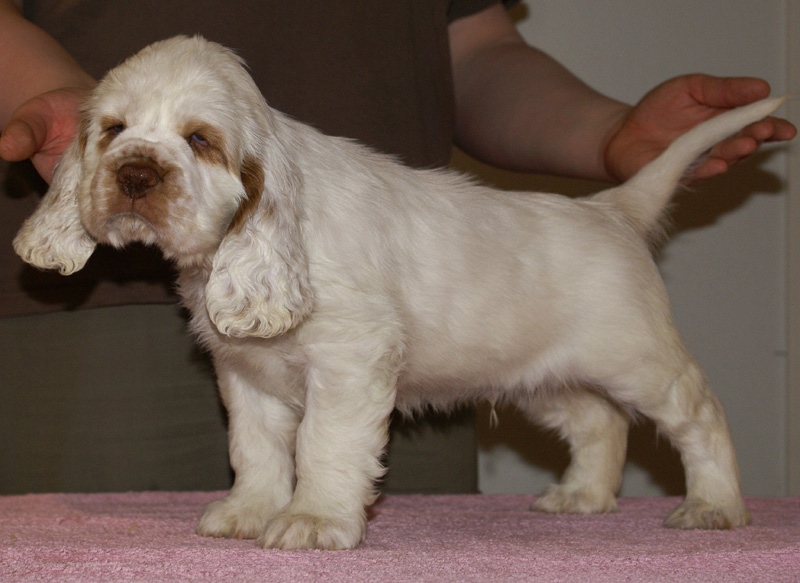 Spice_Twice_Snufkin_7weeks_s