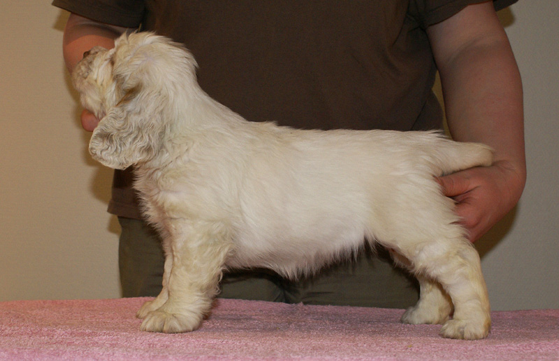 Spice_Twice_Too-Ticky_7weeks_b