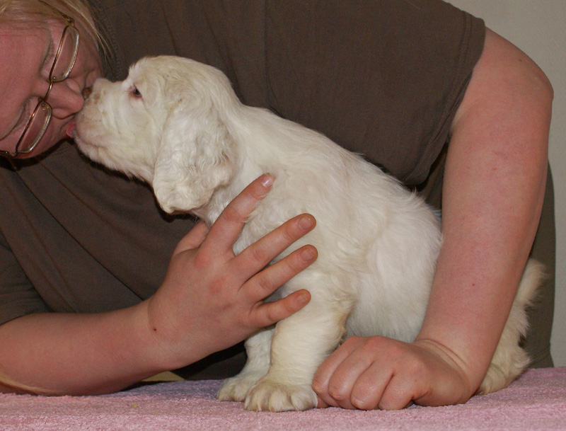 Spice_Twice_Whomper_7weeks_g