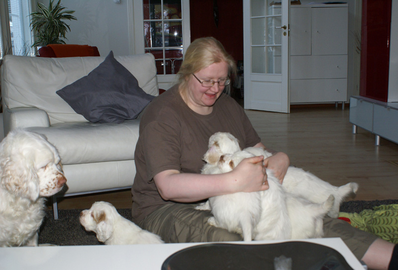 Vieno_Zorro_litter_7weeks_u