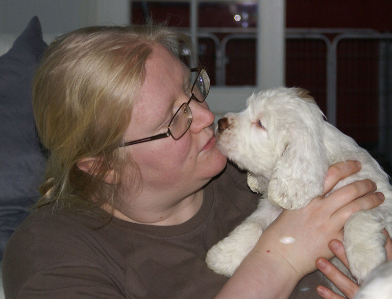 Vieno_Zorro_litter_7weeks_uu