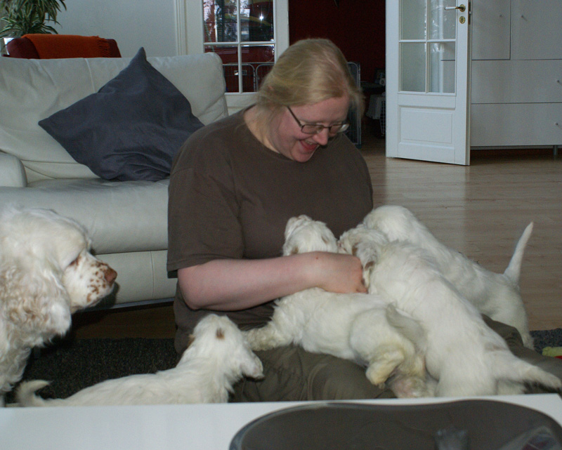 Vieno_Zorro_litter_7weeks_uuu