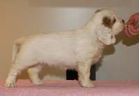 Spice_Twice_Fillyjonk_7weeks_a