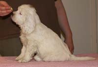 Spice_Twice_Fillyjonk_7weeks_d