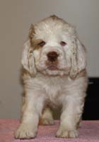 Spice_Twice_Fillyjonk_7weeks_f