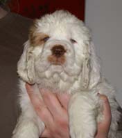 Spice_Twice_Fillyjonk_7weeks_g