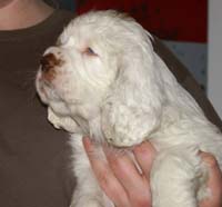 Spice_Twice_Fillyjonk_7weeks_h