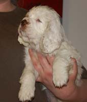 Spice_Twice_Fillyjonk_7weeks_i