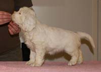 Spice_Twice_Fillyjonk_7weeks_j