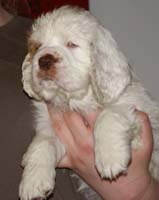 Spice_Twice_Fillyjonk_7weeks_l