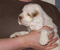 Spice_Twice_Mymble_7weeks_e