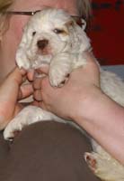 Spice_Twice_Mymble_7weeks_i