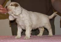 Spice_Twice_Mymble_7weeks_j