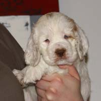 Spice_Twice_Mymble_7weeks_n