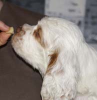 Spice_Twice_Snufkin_7weeks_c