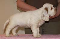 Spice_Twice_Snufkin_7weeks_f