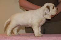 Spice_Twice_Snufkin_7weeks_h