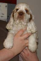 Spice_Twice_Snufkin_7weeks_i