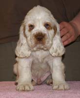 Spice_Twice_Snufkin_7weeks_l