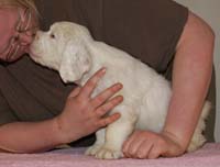 Spice_Twice_Whomper_7weeks_g