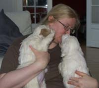 Vieno_Zorro_litter_7weeks_sss