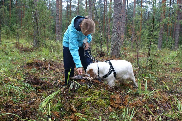 Crisse_tracking_28Aug2010_a