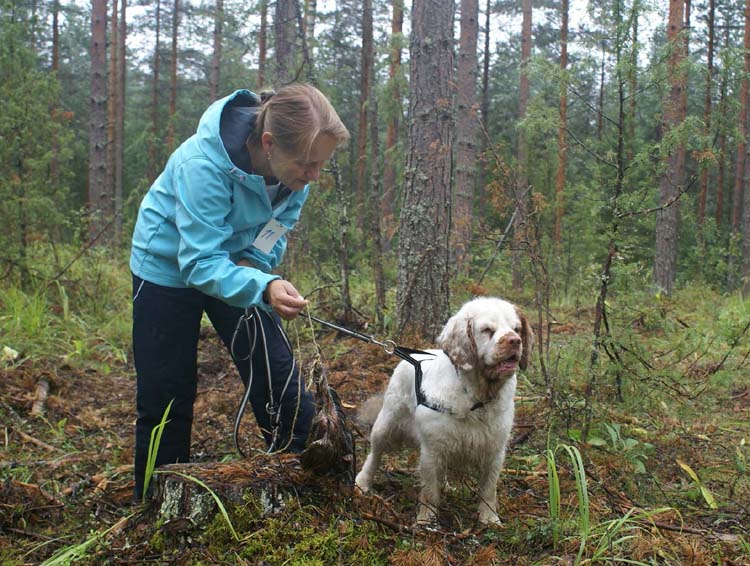 Crisse_tracking_28Aug2010_b