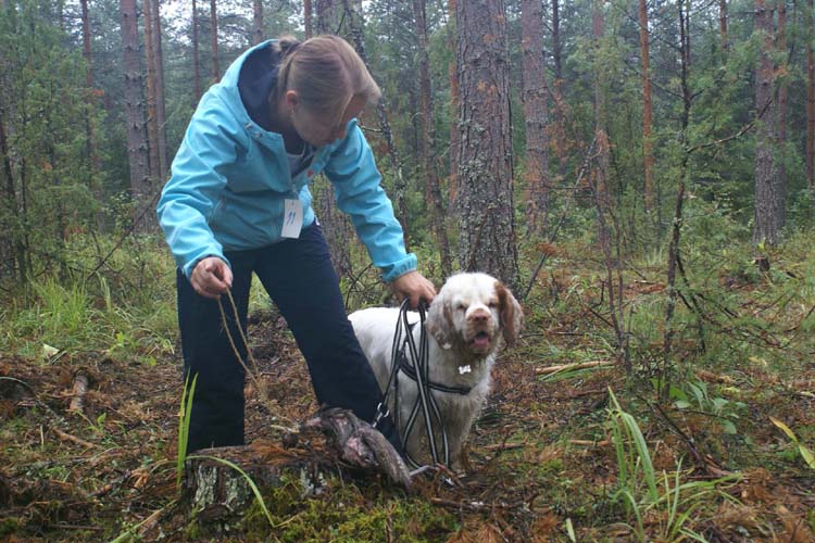 Crisse_tracking_28Aug2010_c