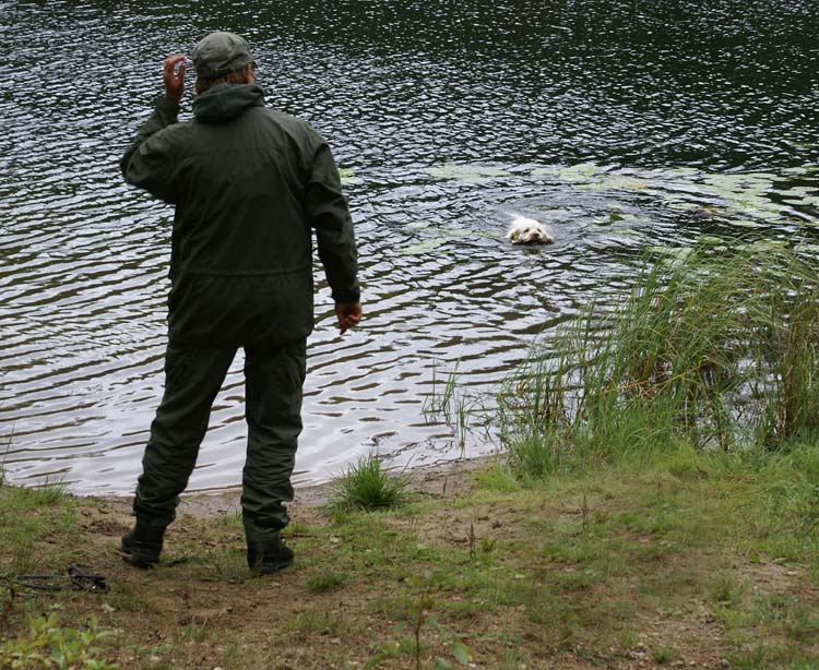 Hilla_water_retrieving_28Aug2010_b