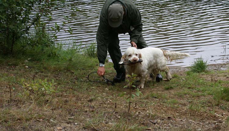 Hilla_water_retrieving_28Aug2010_e