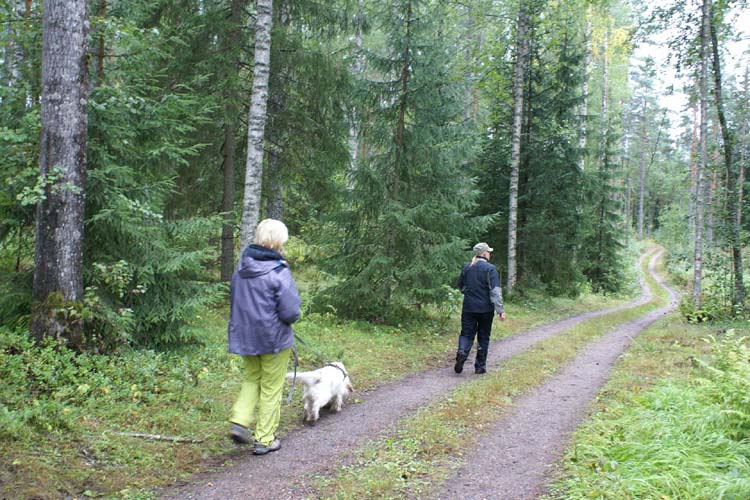Keke_getting_ready_for_tracking_28Aug2010_d