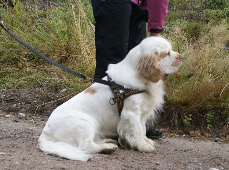 Keke_waiting_his_turn_28Aug2010_a