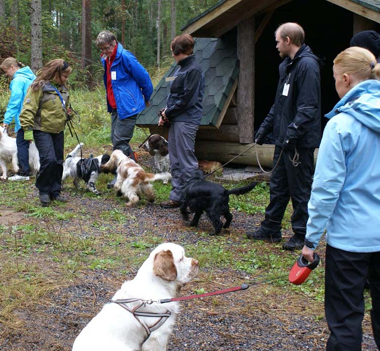 Mambo_getting_ready_for_the_test_28Aug2010_a