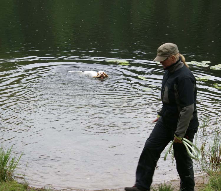 Napo_training_water_retrieving_28Aug2010_c