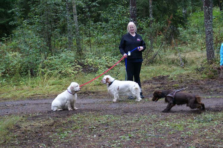 Vieno_Onni_28Aug2010_a