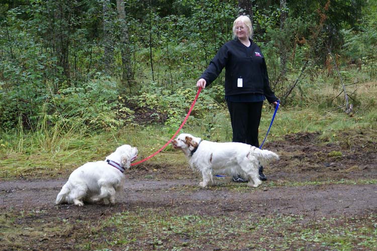 Vieno_Onni_28Aug2010_b