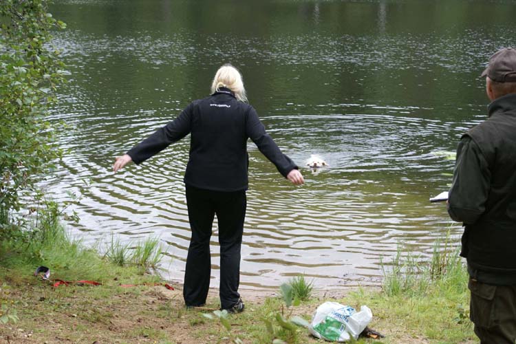 Vieno_going_Wild_for_Mallard_wings_28Aug2010_c