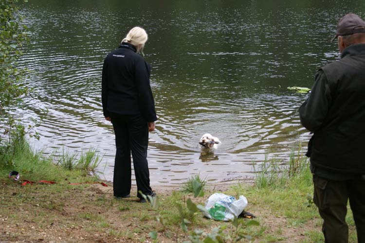 Vieno_going_Wild_for_Mallard_wings_28Aug2010_e