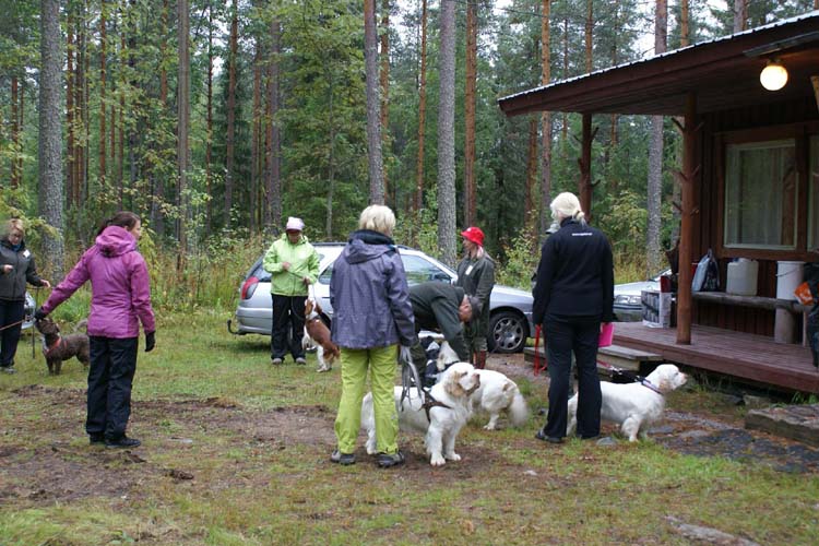 a_Spaniel_Hunting_Ability_test_28Aug2010_a