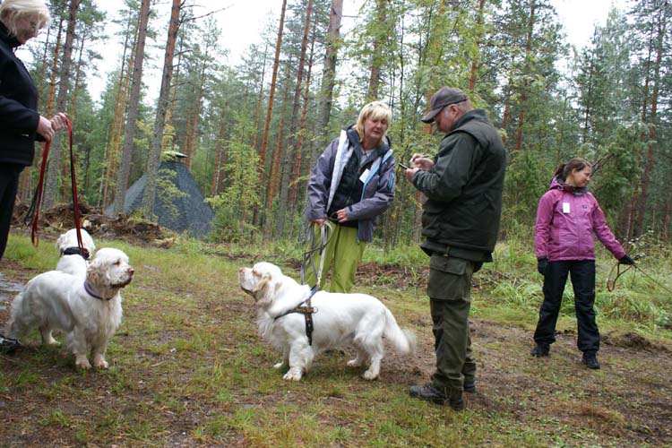 a_Spaniel_Hunting_Ability_test_28Aug2010_b