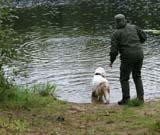 Hilla_water_retrieving_28Aug2010_a