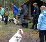 Mambo_getting_ready_for_the_test_28Aug2010_a