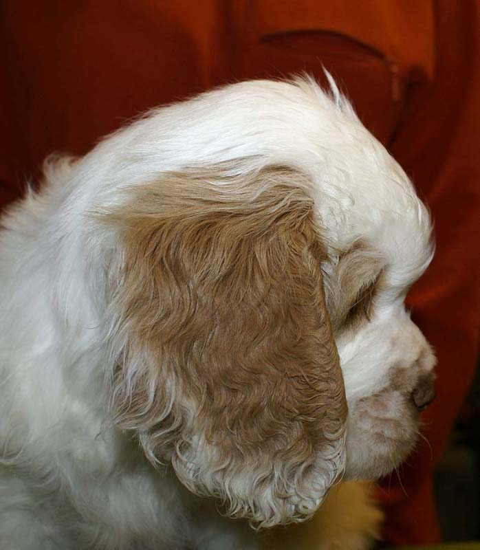 ST_Snow_Matter_8weeks_g