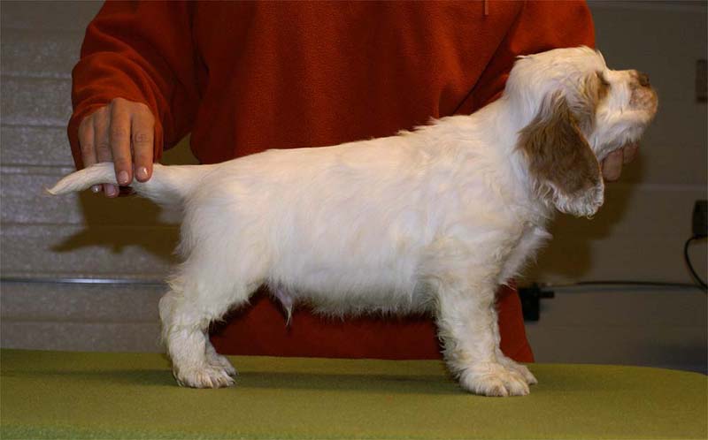 ST_Snow_Matter_8weeks_i