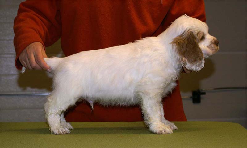 ST_Snow_Matter_8weeks_j