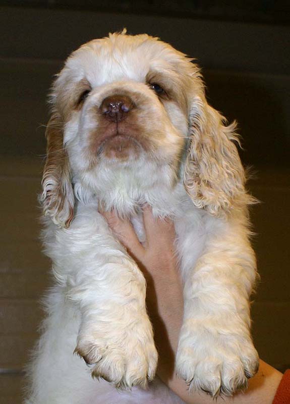 ST_Snow_Matter_8weeks_k