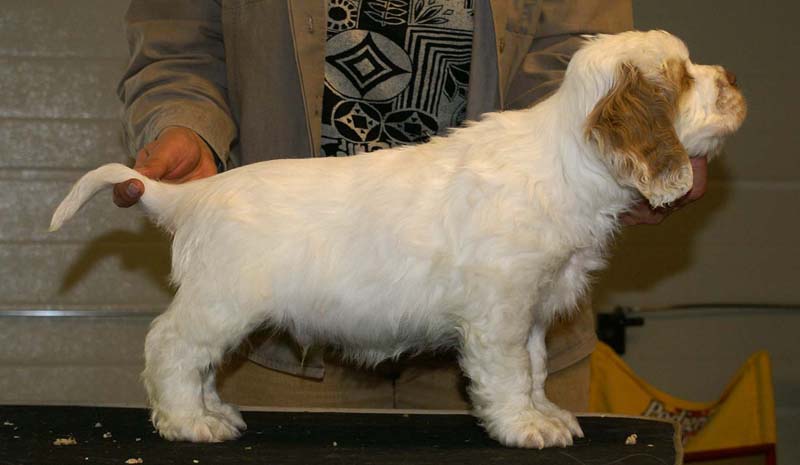 ST_Snow_Matter_8weeks_l