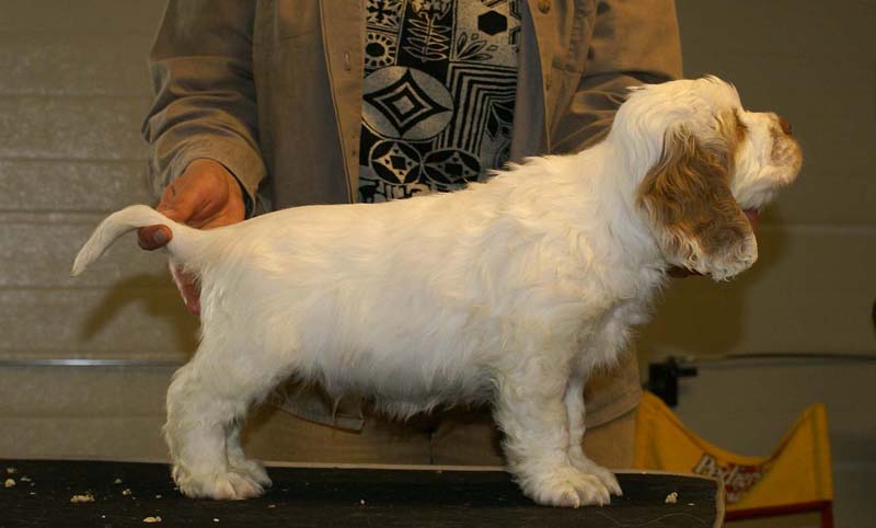 ST_Snow_Matter_8weeks_m