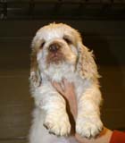 ST_Snow_Matter_8weeks_f